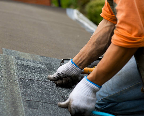 Best Metal Roofing Contractor  in Elk Point, SD